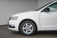  Foto č. 8 - Škoda Octavia Combi 1.6 TDI Style Limited 85KW 2019