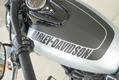  Foto č. 7 - Harley Davidson Fat Bob 1745 2020